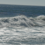 Surfer at Laguna Beach