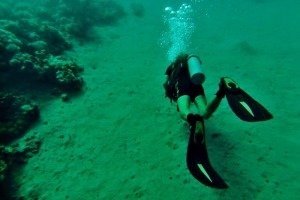 diving in el gouna egypt