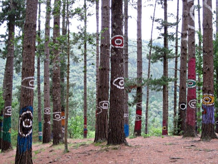 Visiting the Enchanted Forest of Oma in the Spanish Basque Country