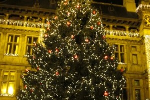 Christmas tree at Antwerp's Christmas market