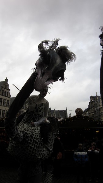 Ostrich on Antwerp's Christmas market