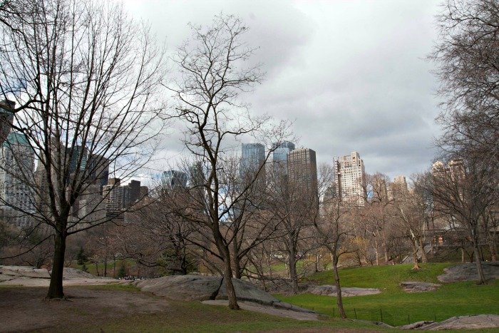 Central Park New York City