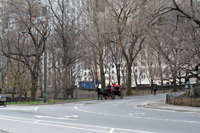 Horse carriage in New York City