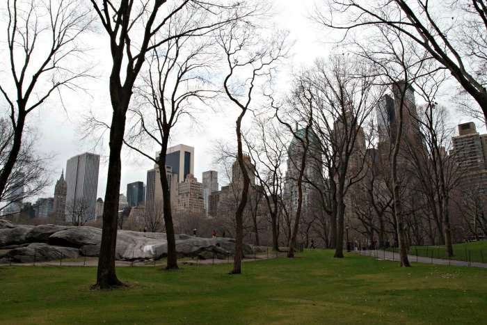 Central Park New York City 2