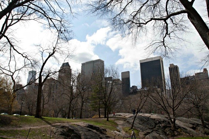 Central Park New York City