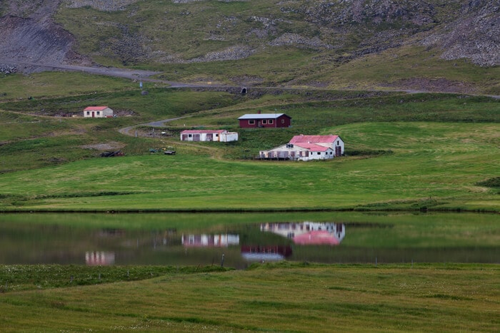 Saison du macareux moine en Islande