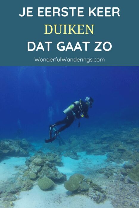Je eerste keer duiken, dat gaat zo