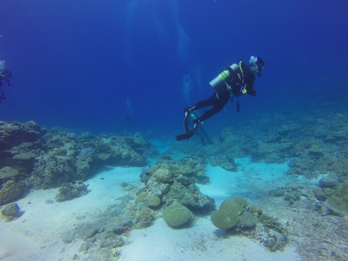 scuba diving first time