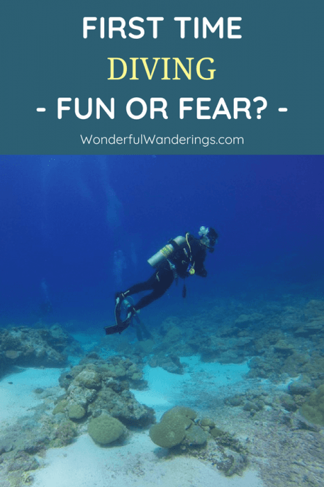 Scuba diving for the first time? This is how it goes