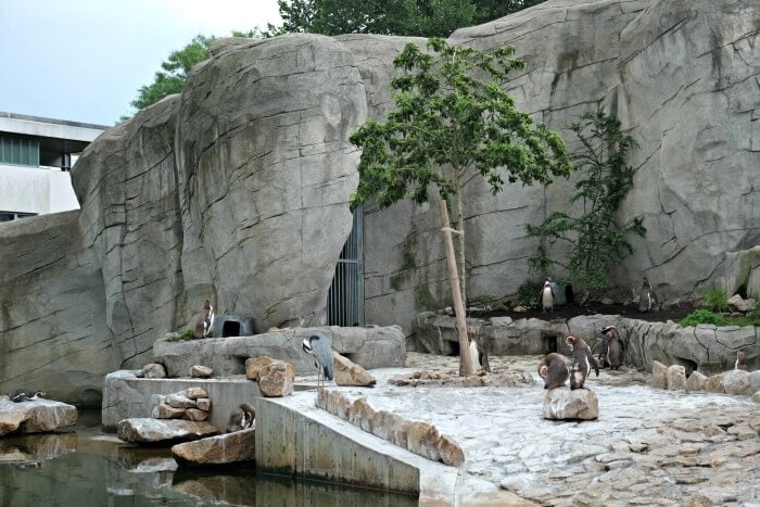 zoo karlsruhe