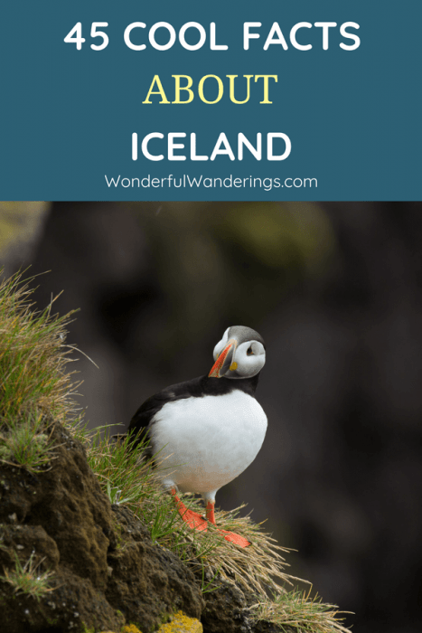 Traveling to Iceland soon? Check out these 45 fun facts about Iceland food, Iceland winter, the Northern Lights, Iceland nature and much more