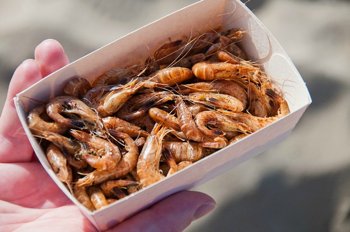 belgian food grey shrimp