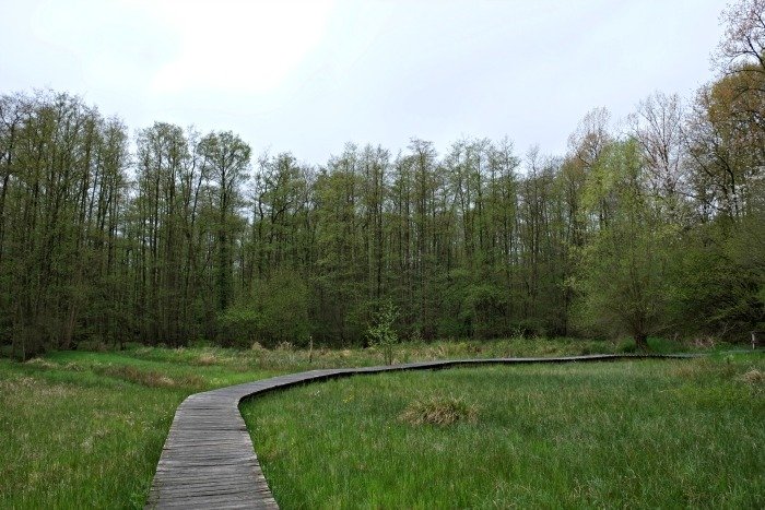 fietsknooppunten provincie limburg duinengordel