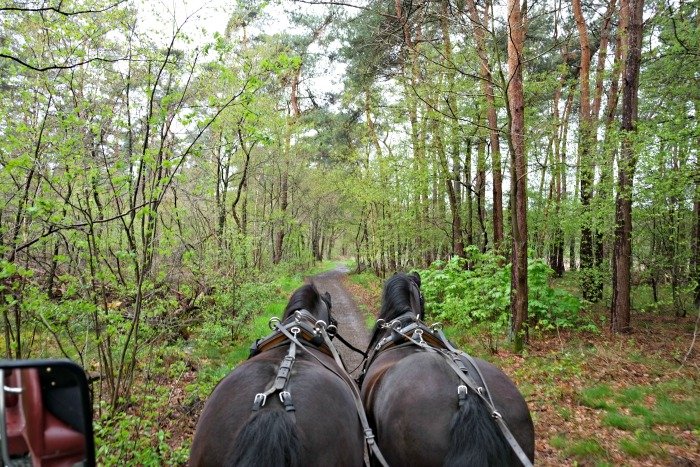 paardenkoets bocholt