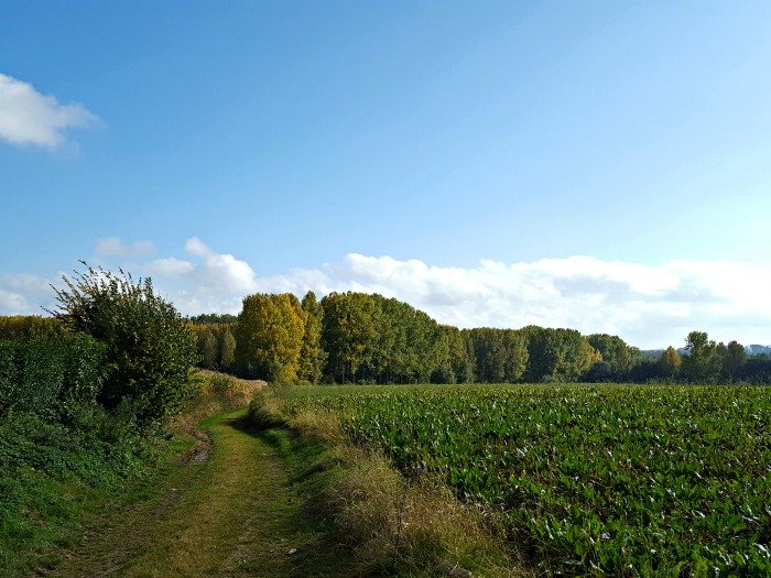 Duivenbos Herzele