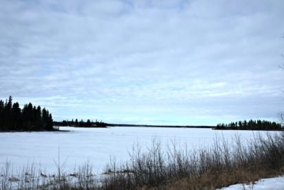 Things to do in Elk Island National Park in Alberta, Canada