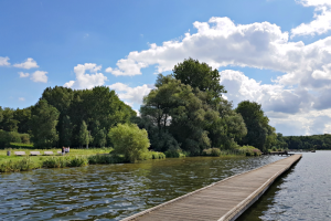 5 Fun Rotterdam Parks and What to Do There
