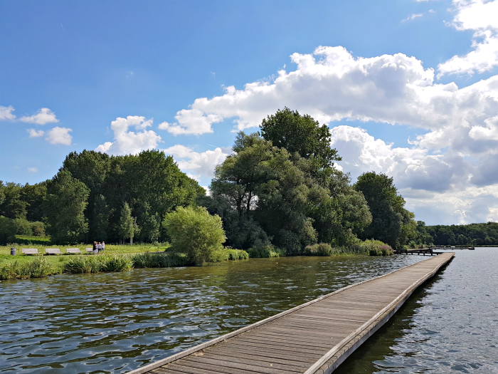 geboren zwaartekracht Smerig Kralingse Bos en andere leuke parken in Rotterdam - Wonderful Wanderings