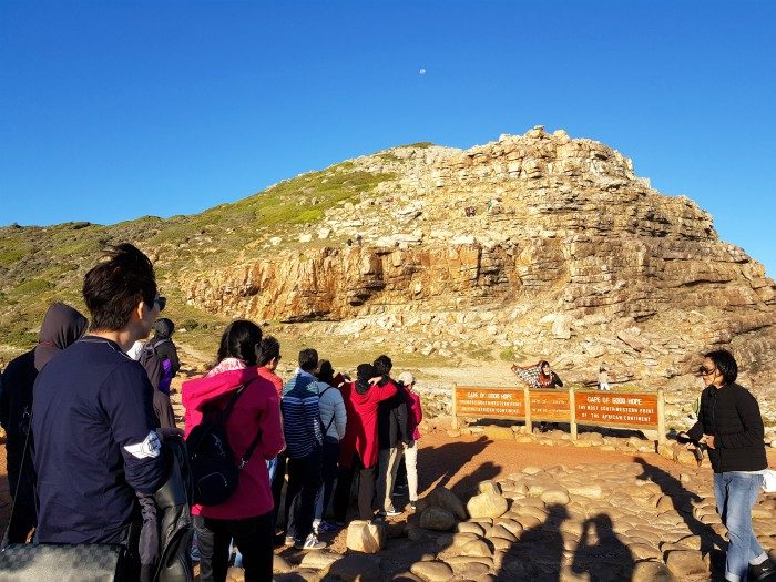 cape of good hope day tour