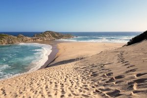 robberg nature reserve prices