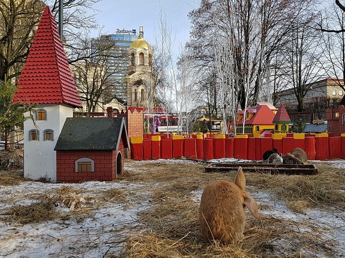 Riga Christmas Market 2023-2024:🎅 Dates, Location, Attraction 25