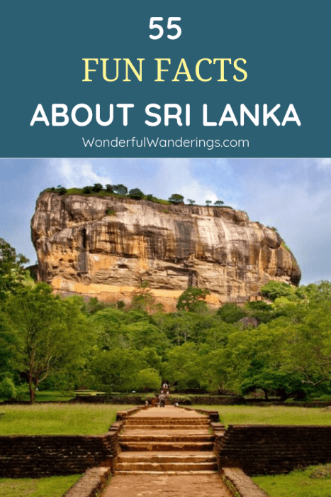 Traveling to Sri Lanka soon or just want to know more about the country? Check out these fun facts