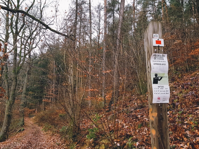 province liège hiking