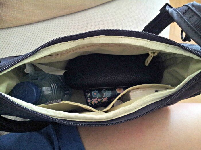 pacsafe travel purse