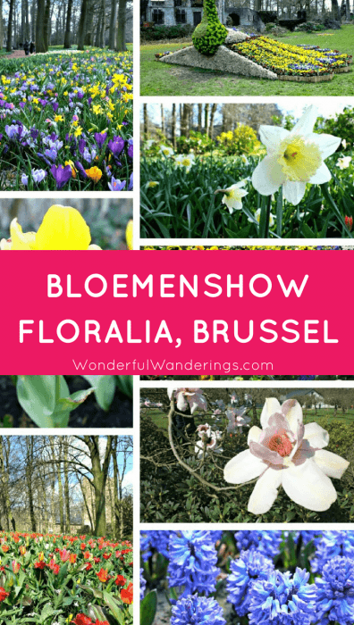 bloemenshow floralia brussel