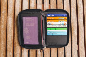Pacsafe Daysafe passport wallet