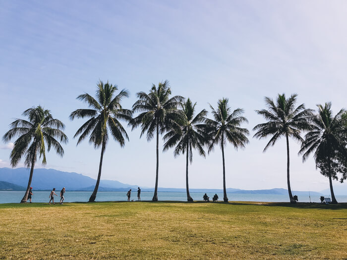 things to do in port douglas