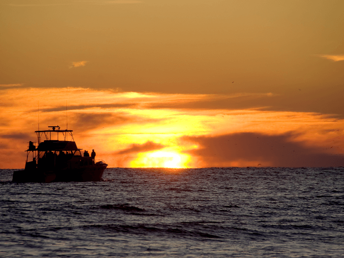 sunset boat trip Malaga