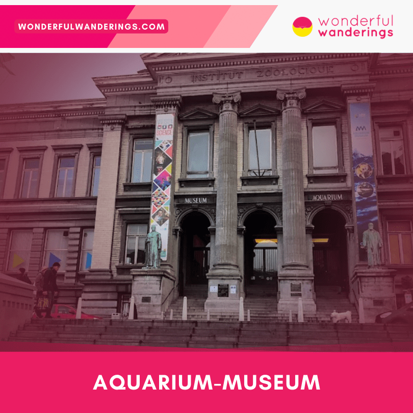 Aquarium-Museum