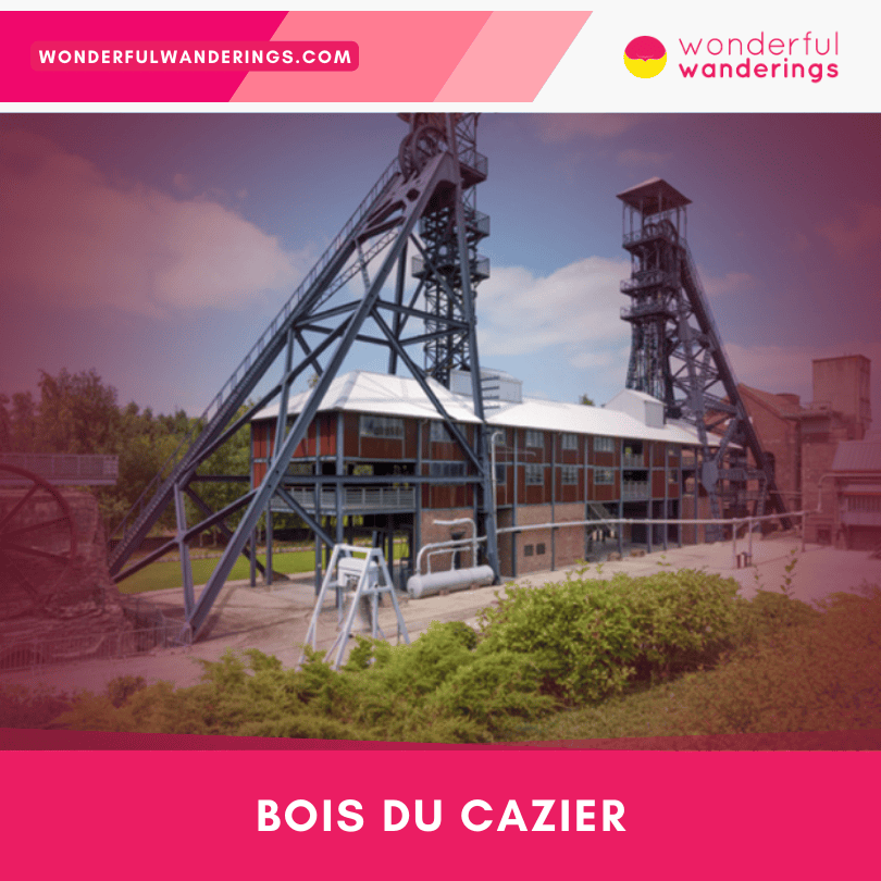 Bois du Cazier in Charleroi