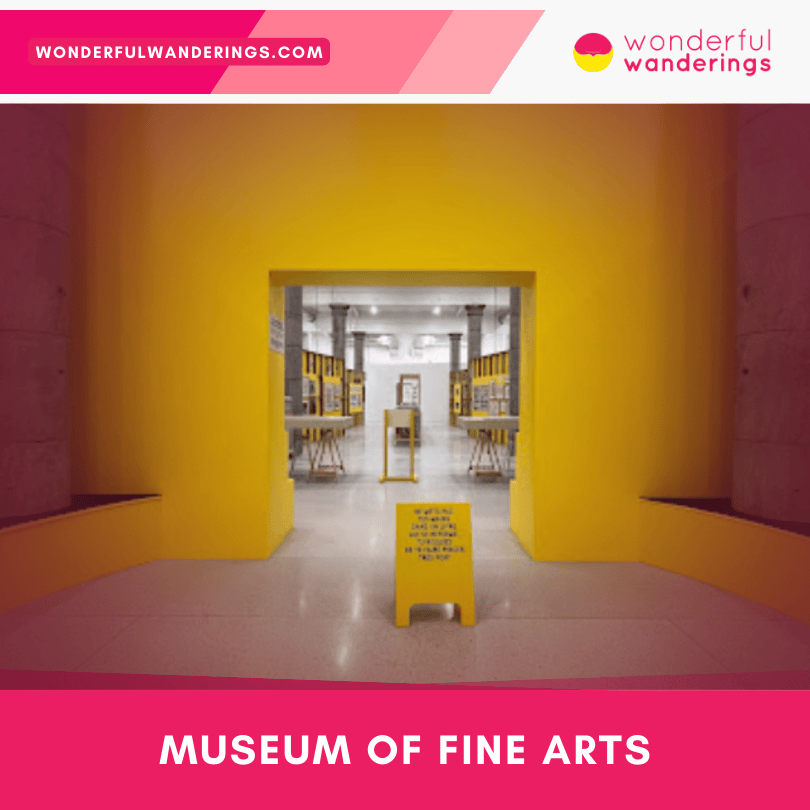 Museum of Fine Arts in Charleroi