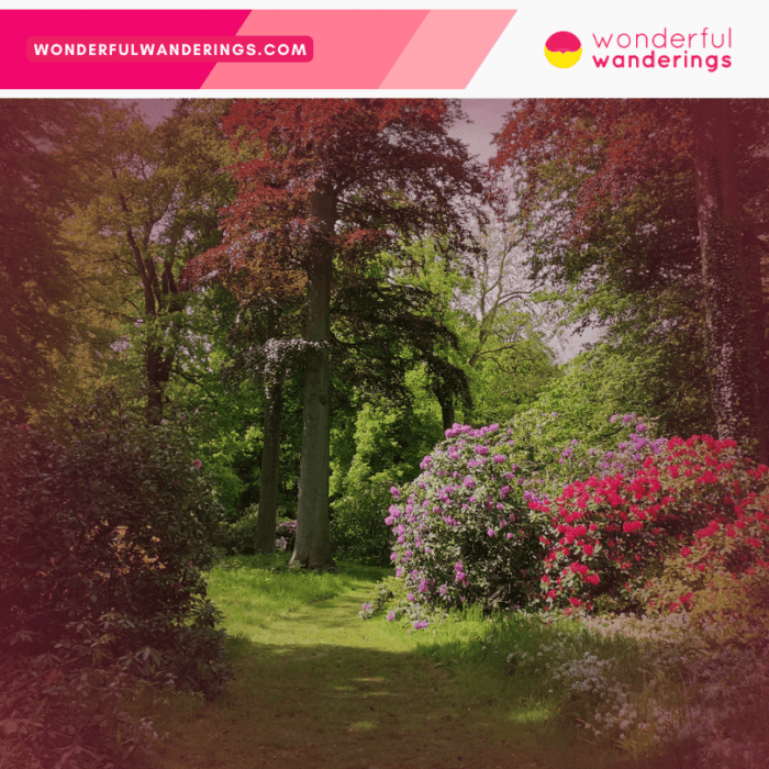 Plantentuin Meise Outdoor Flower