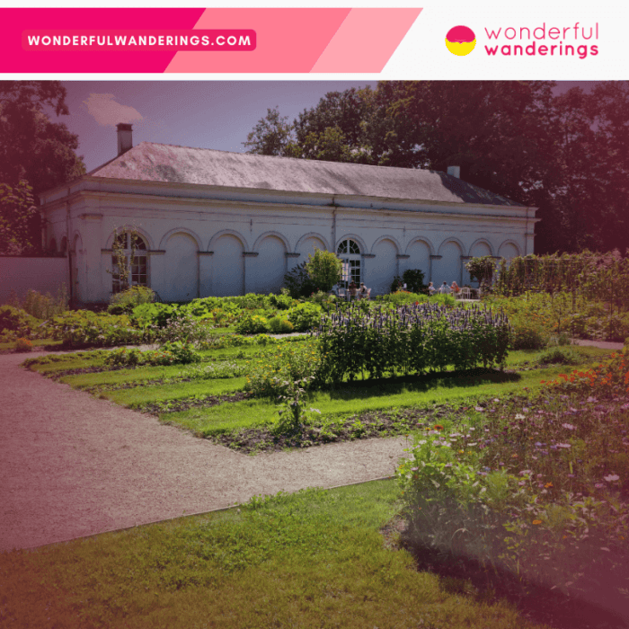 Plantentuin Meise Greenhouse Garden