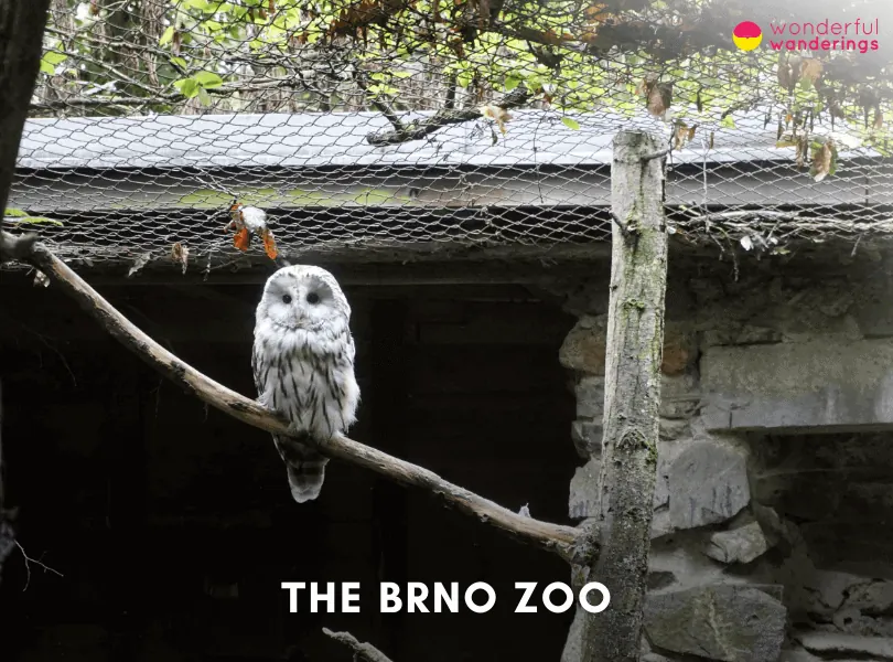 Brno Zoo