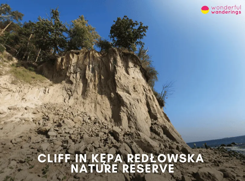 Cliff in Kępa Redłowska Nature Reserve