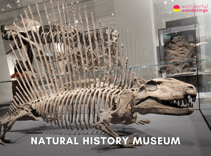 Natural History Museum