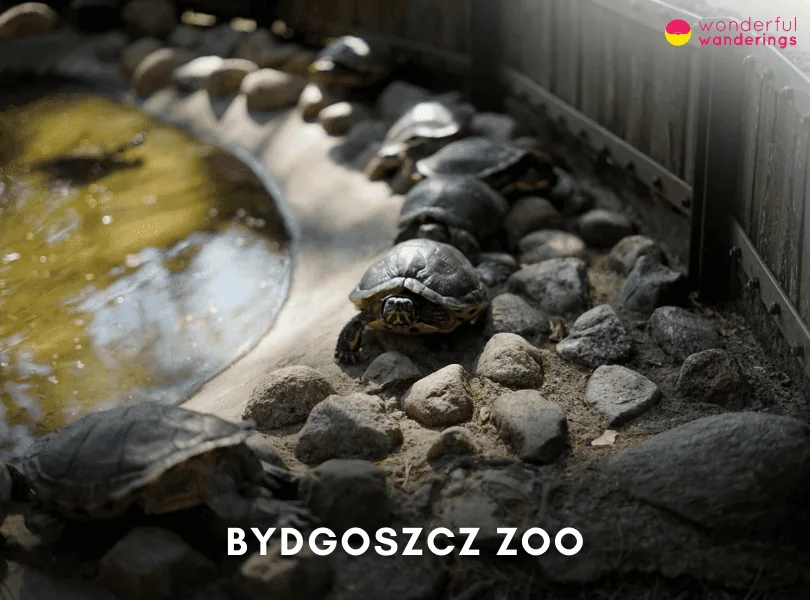 Bydgoszcz Zoo