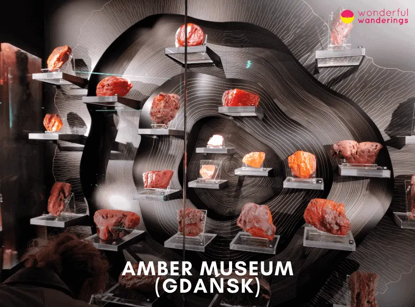 Amber Museum (Gdańsk)