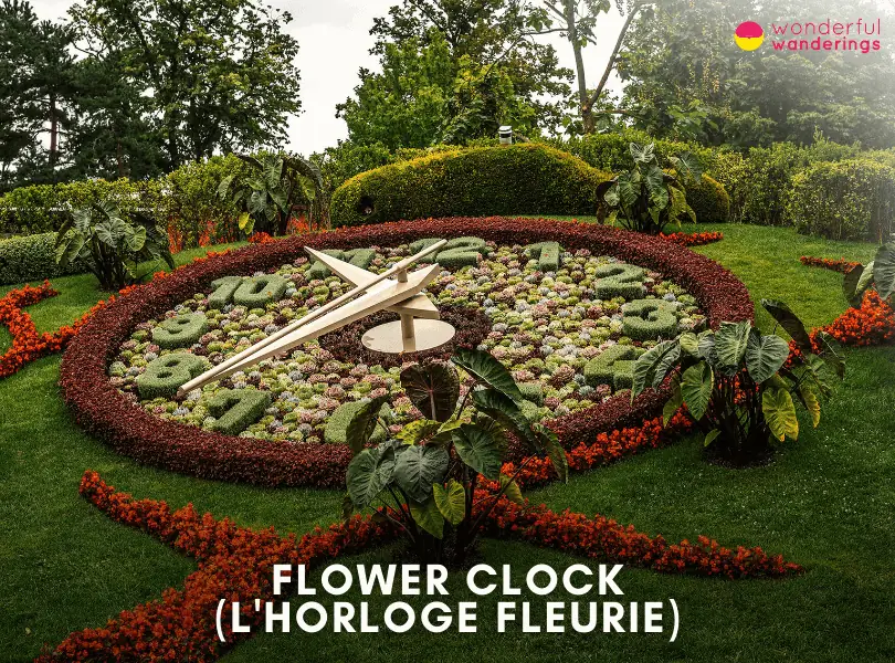 Flower Clock (L'horloge Fleurie)