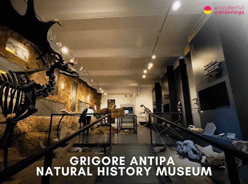 Grigore Antipa Natural History Museum