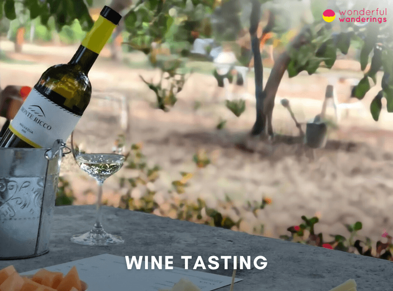 Wine tasting