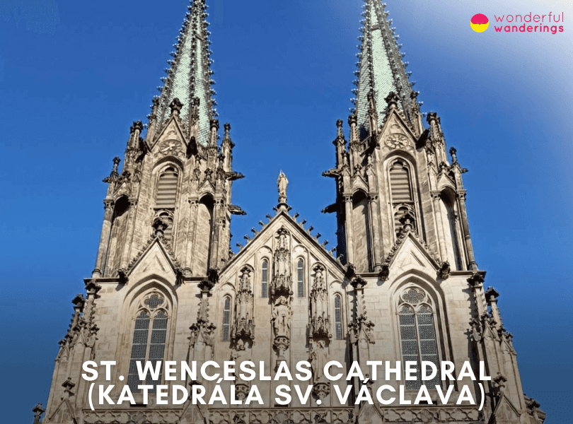 St. Wenceslas Cathedral (Katedrála sv. Václava)