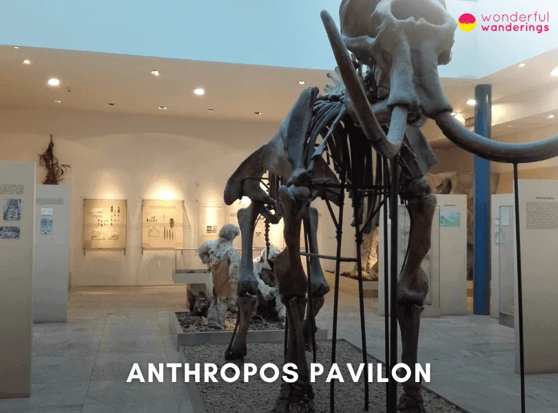 Anthropos Pavilon