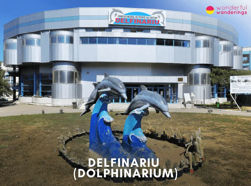 Delfinariu (Dolphinarium)