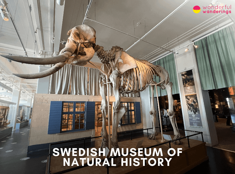 Swedish Museum of Natural History