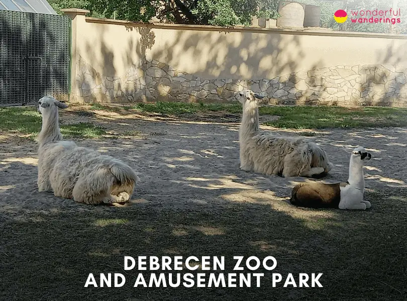 Debrecen Zoo and Amusement Park